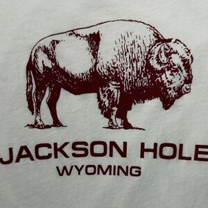 Brandy Melville John Galt Jackson Hole Wyoming Long Sleeve Tee One Size